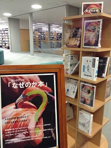 なぜのか本展示