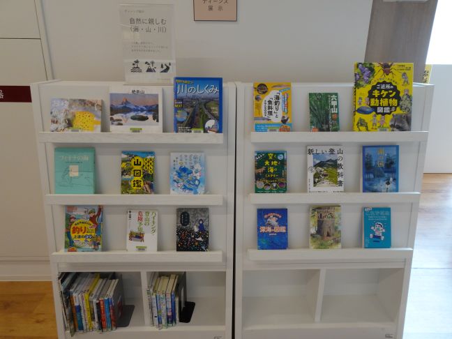 写真2