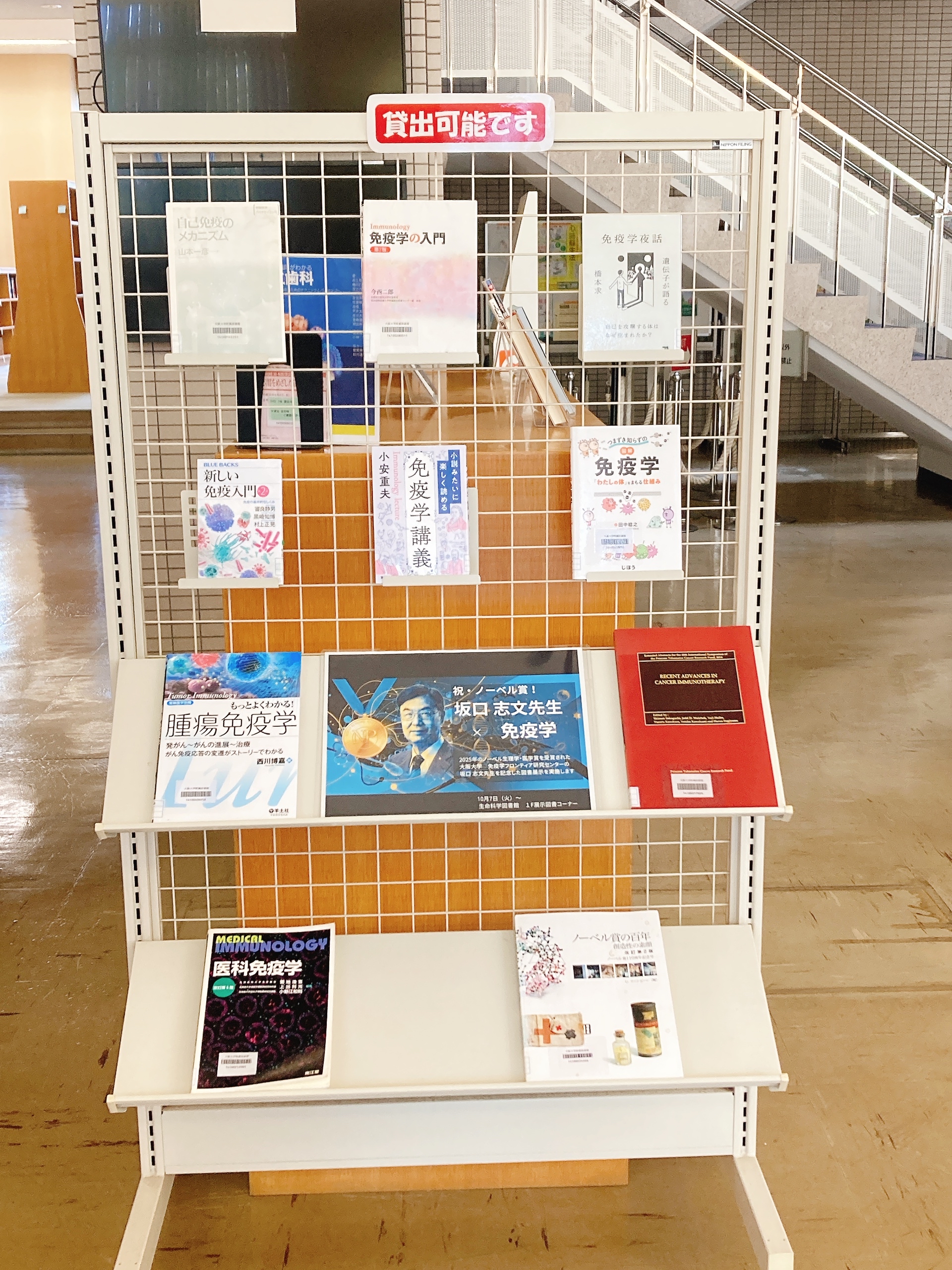 展示