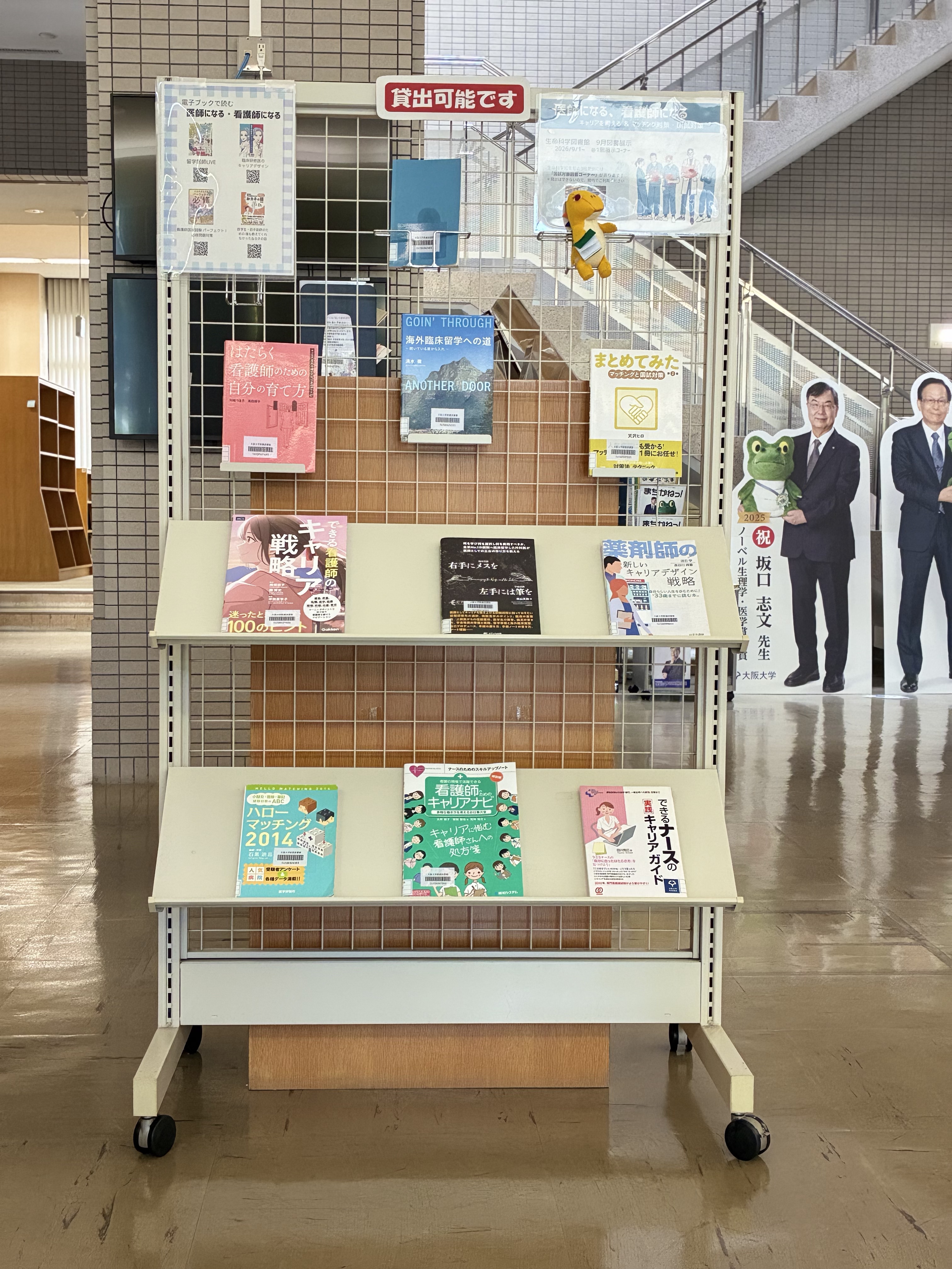 展示