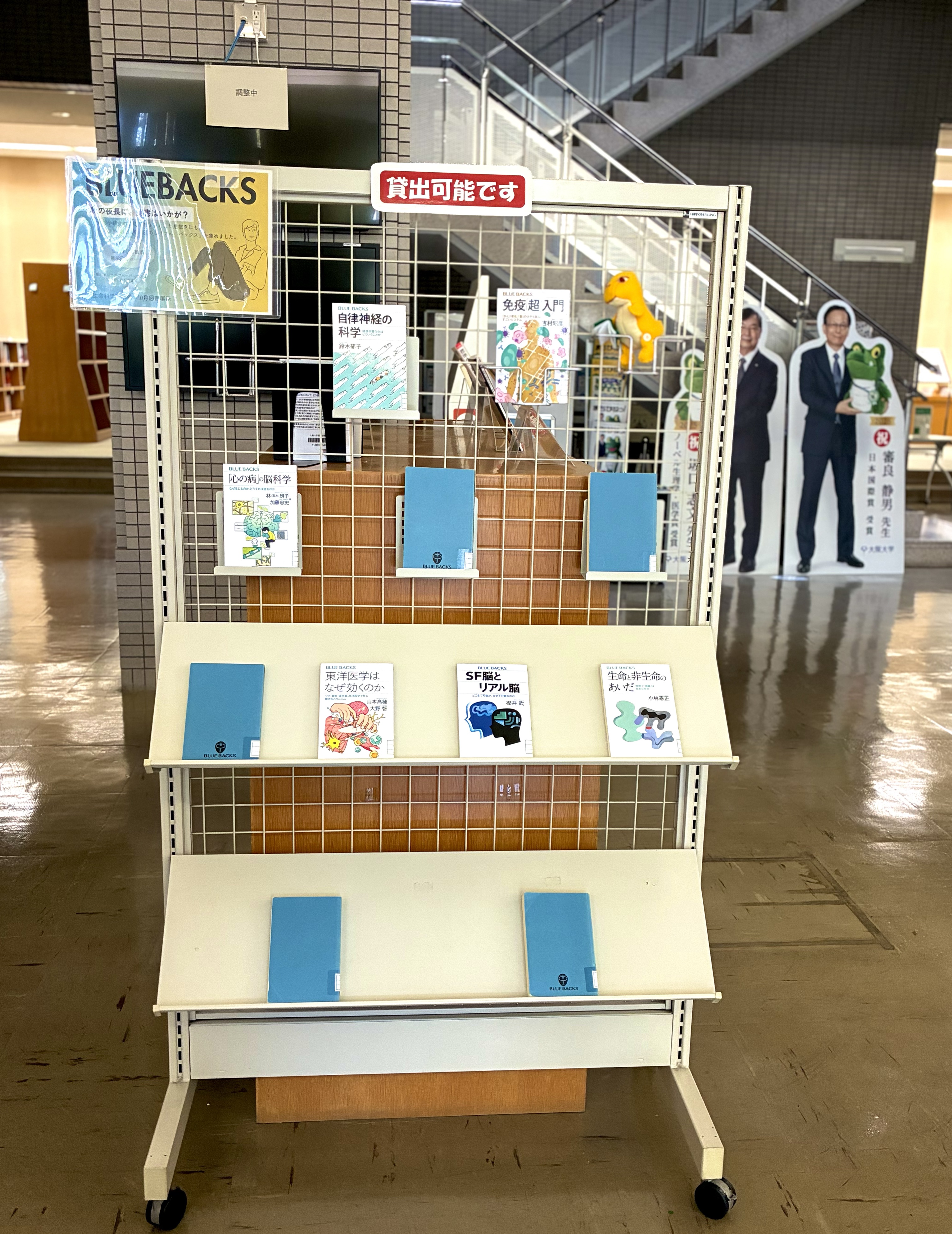 展示